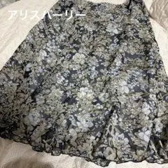 Item thumbnail for item bb333f1c-68dc-4217-9259-b47732382c22