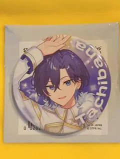 すにすて　たちばなくん　ランダム缶バッジ