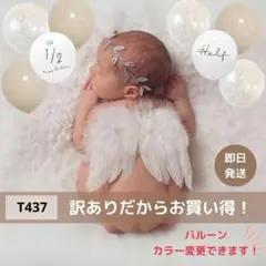 T437 天使の羽&グレージュ 誕生日 ハーフバースデー 風船 撮影 エンジェル