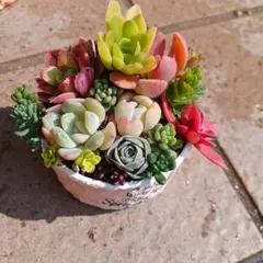 ももたろう様 リクエスト 6点 まとめ商品