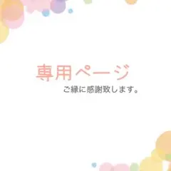 かなちゃん様専用