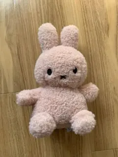 Item thumbnail for item 000b4a88-b336-428b-97a2-be08f345248f