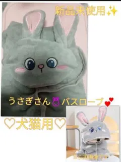 Item thumbnail for item 4634c239-4069-4dae-8e36-5b0e68262a5e