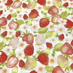 さくら。様専用