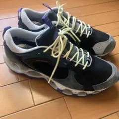 あ*つ様 Graphpaper × Mizuno Wave Prophecy 2のサムネイル