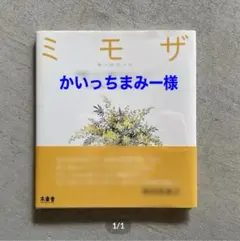 かいっちまみー様専用