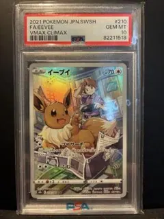 伊布 CHR PSA10