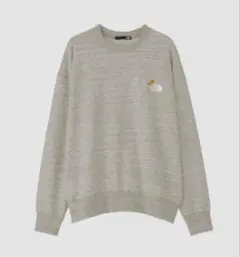 Item thumbnail for item 7c46f174-0e9b-4145-87d9-c26ac0da77a1