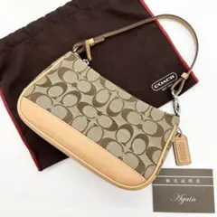 Coach 6094 Signature Accessory pouch y2k