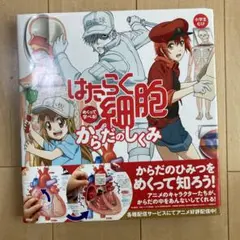 2026年最新】はたらく細胞シリーズの人気アイテム - メルカリ