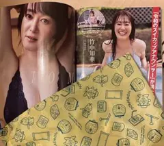 「新品」竹中智華 掲載 週間プレイボーイ