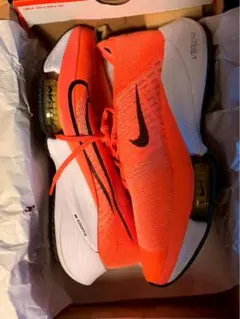 Item thumbnail for item 599cbd00-75a9-4465-97ca-bb392ffbc36a