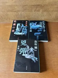 逢坂剛 文学作品 3冊セット