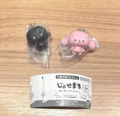 じょせまる めじるしアクセサリー 2種セット