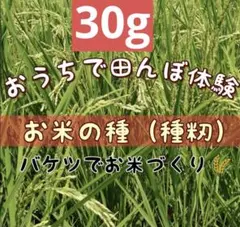 user_303446c0様 リクエスト 2点 まとめ商品