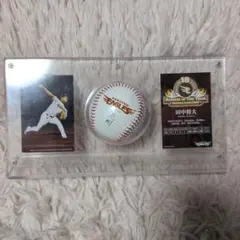 NPB交流戦優勝2024楽天イーグルス キャップ 村林サインボール