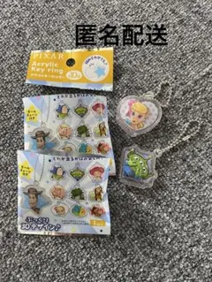 PIXAR 玩具總動員 胖胖3D設計 壓克力鑰匙圈2入組