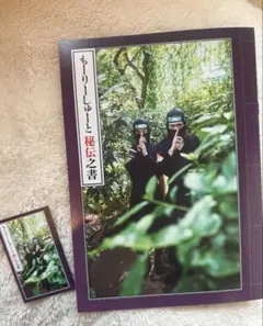 もーりーしゅーと