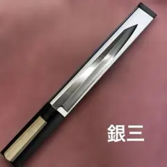 Item thumbnail for item 47ac0847-8ed7-421f-a548-6bf470e2d50e