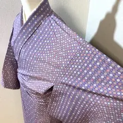 B201⭐️洗える着物　小紋　着物　花柄　逸品　広襟　胴抜き