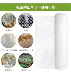 Item thumbnail for item 20bb3a3b-e762-47fa-b2c3-fa74dbdefaee