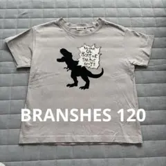 美品　ブランシェス　恐竜Tシャツ　120