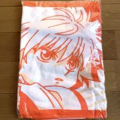 ハンターハンター　フェイスタオル　ゴン　キルア