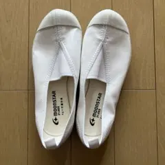 MOONSTAR 上履き 21.0EE 抗菌防臭