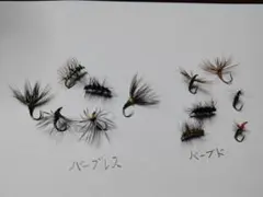 Item thumbnail for item bda14e73-19ab-4233-a2bf-d1a9713f2198