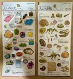 【廃盤/レア品】２枚セット/大人の図鑑シール/鉱物編2・化石編