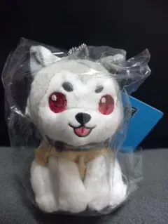 2025年最新】コロマル ぬいぐるみの人気アイテム - メルカリ