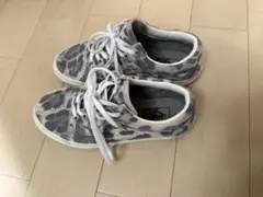 Vans ヒョウ柄 スニーカー US 5.5