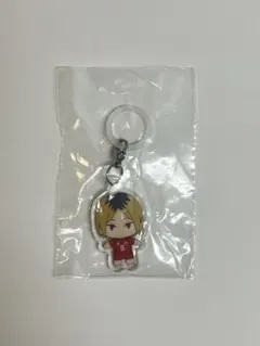 ハイキュー!! ふらっとめじるしアクセサリー 孤爪研磨