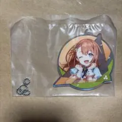 プロセカ 花里みのり セガラッキーくじ アクキー