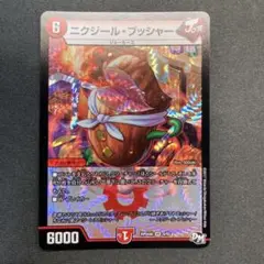 29527 ニクジール・ブッシャー ニクジールブッシャー 1枚
