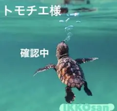 トモチエ様 リクエスト 3点 まとめ商品