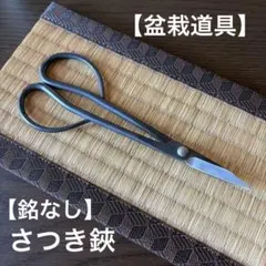 2026年最新】昌国 盆栽の人気アイテム - メルカリ