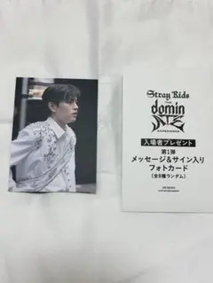Stray Kids 映画特典フォトカード スンミン