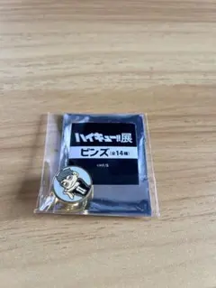 ハイキュー展　ピンズ　宮治