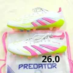 Item thumbnail for item 044c51ff-57dd-4070-85dc-43e25cf0a8cf