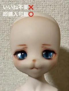 DDH じゃない オリジナルヘッド SW肌相当 60cm〜40