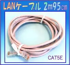 LANケーブル 2m95cm グレー　CAT5E