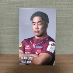 Item thumbnail for item e31393f5-2395-453f-8481-76db3475c279