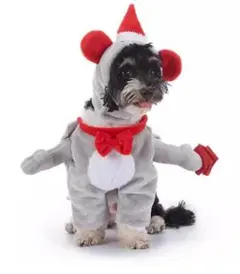 Item thumbnail for item 3238ca95-95b5-4488-91cc-8c63e1983ac6