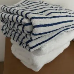 Ralph Laurenラルフローレン ストライプ 大判タオル 2枚ブランケット