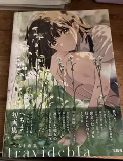 へちま画集 travidebla 直筆 サイン本 - メルカリ
