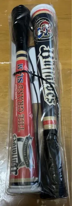 Item thumbnail for item 06d4fbe9-cdab-4a4a-9d44-a1b2c5674fe4