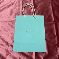 Tiffany & Co. ショップ袋 ショッパーのサムネイル