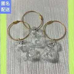 わんこのタイムカプセル 　むぎ