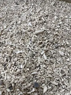 Item thumbnail for item d9b4c0b3-a046-4382-bd8a-e71ea35c7ea3